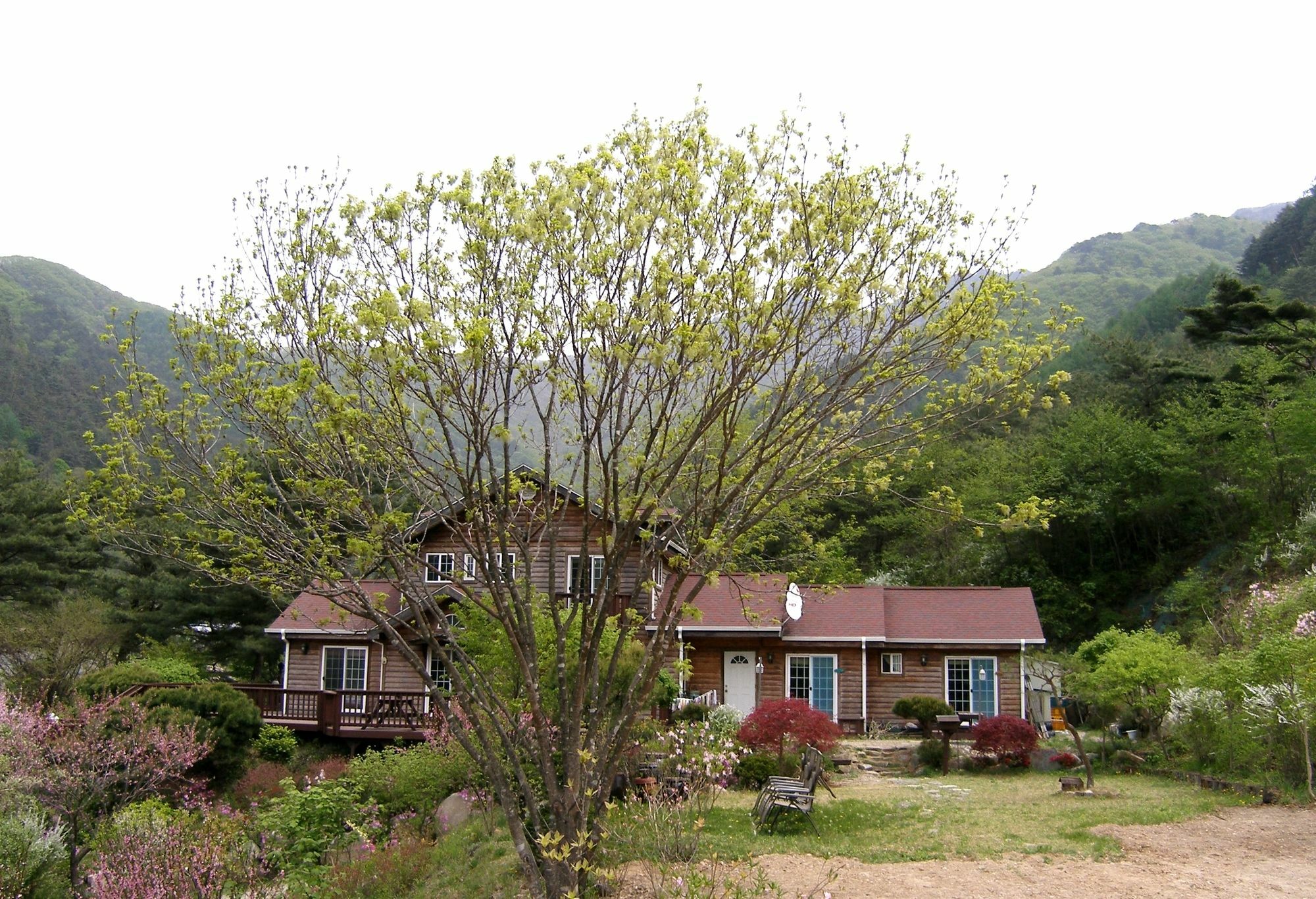 Fairy Tale Pension Pyeongchang Exterior photo