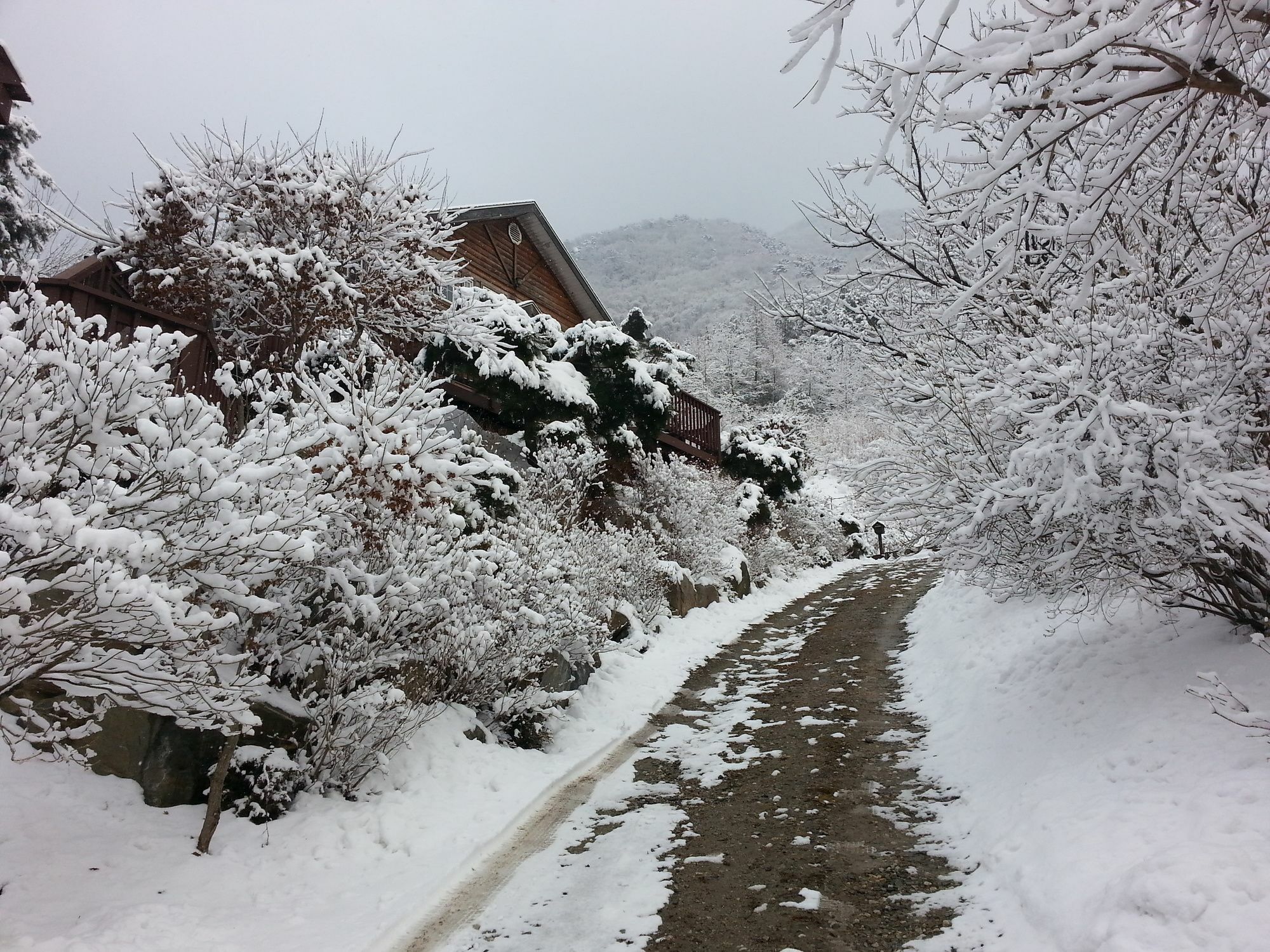 Fairy Tale Pension Pyeongchang Exterior photo